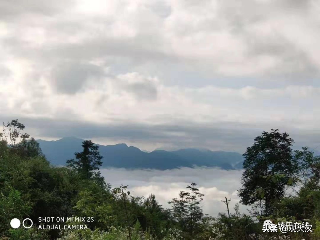 镇巴云雾山风景区,镇巴木竹林风景区