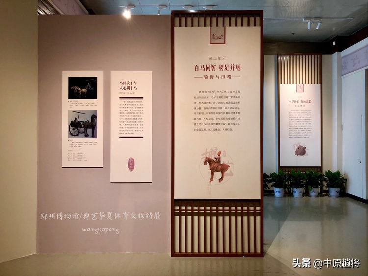 古代的体育运动你知道多少？郑州博物馆看华夏体育*物文**特展