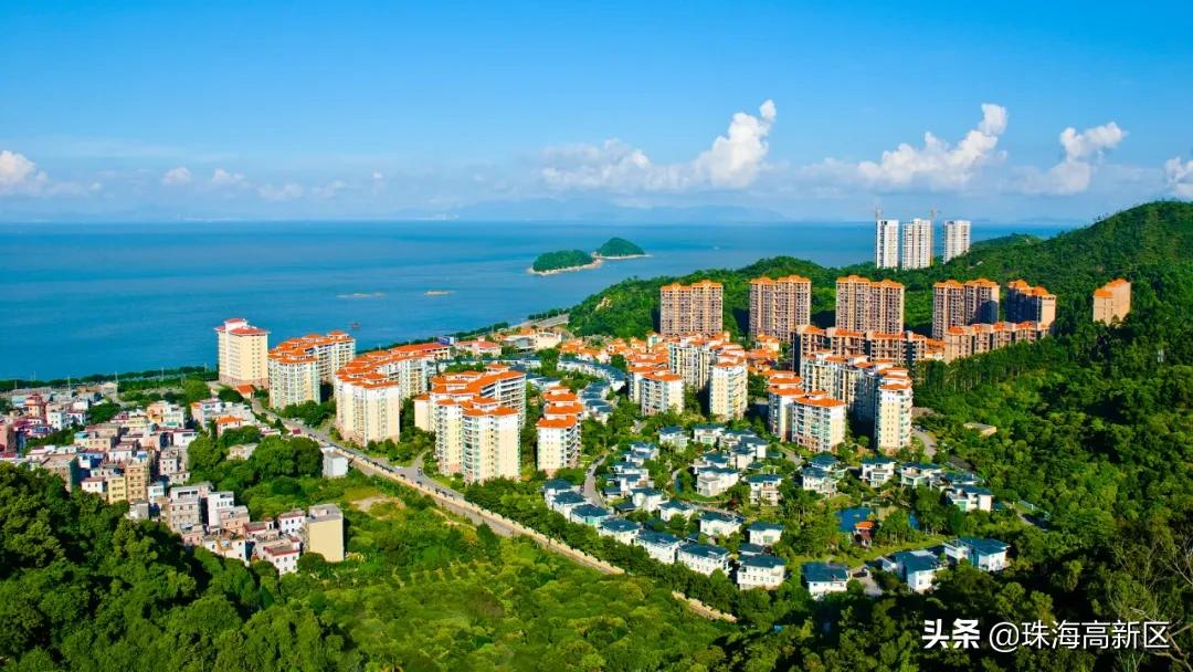 先行者引领者开拓者担当者,先行者推动者