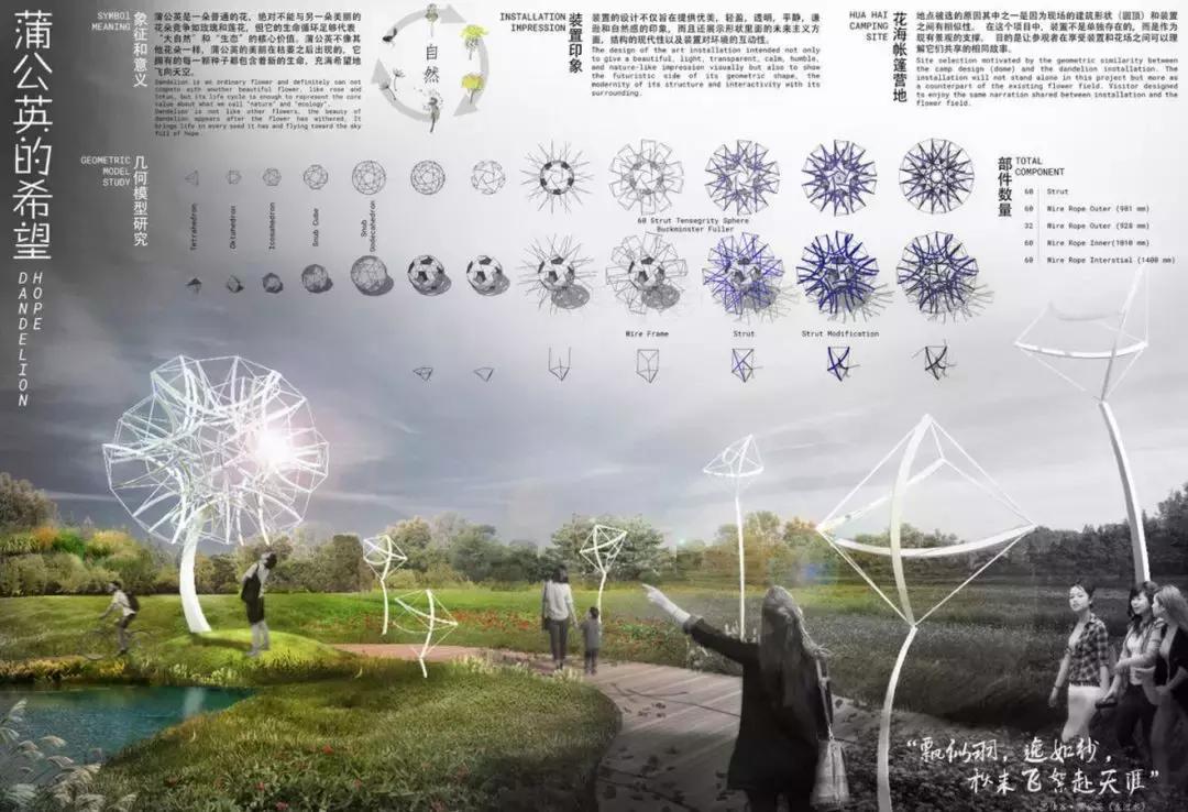 获奖作品广场舞大赛,莲花山杯全国摄影大赛