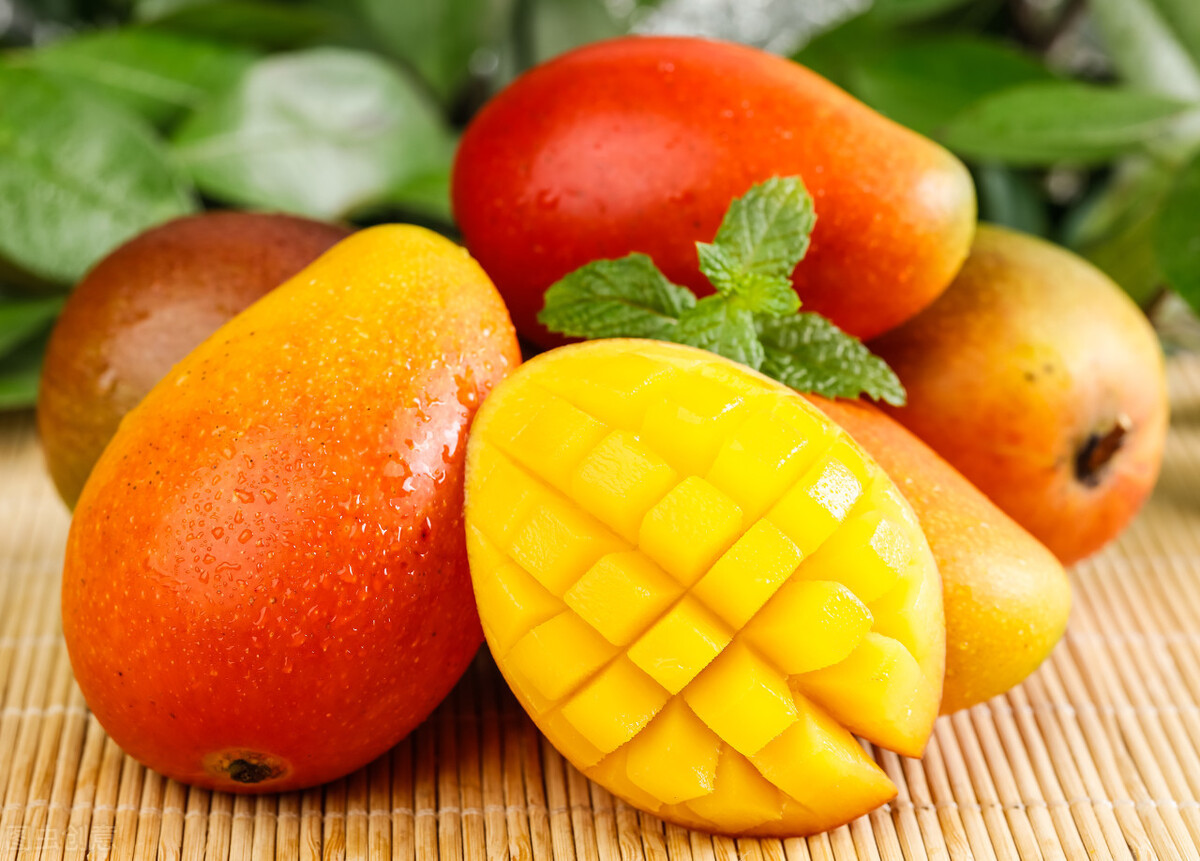 大台芒好吃还是贵妃芒,贵妃芒和小台芒哪个价位高