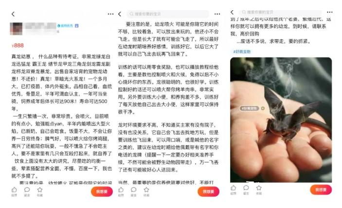 闲鱼捡漏避免入坑,闲鱼买东西套路多收好防坑指南