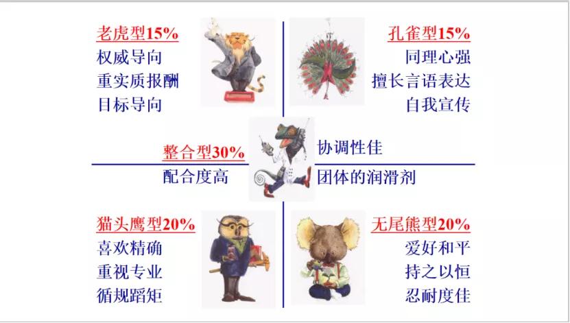 乘风破浪的姐姐万茜的性格,乘风破浪的姐姐万茜图片