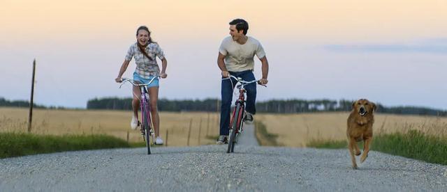 如果你不打算结婚需要明白三件事,如果你这辈子不想结婚要准备什么