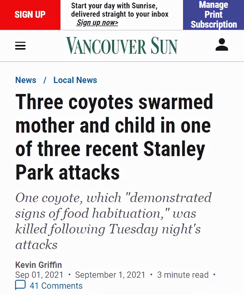 西温豪宅区惊现郊狼13岁孩子上学遭5狼跟踪家长吓傻