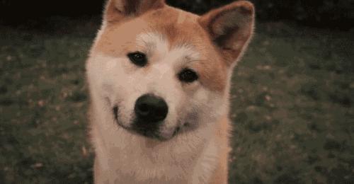 双性恋的人心理正常吗,双性恋的人心理是有问题吗