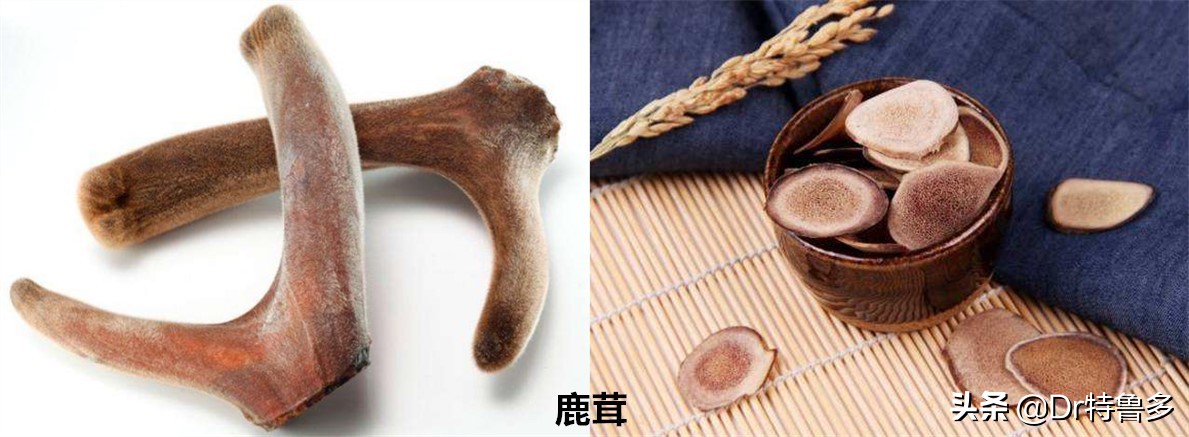 骨折中药要吃多久才有效,骨折一年多没愈合吃啥药好得快