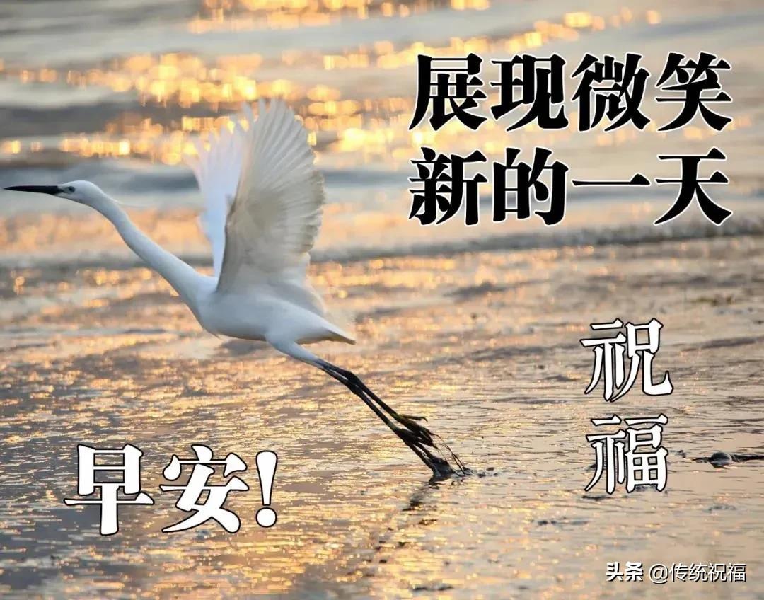 走得太急脚太累女生完整版说说,心累了早安