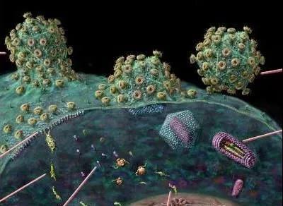 2021年世界艾滋病日公益视频,2018年世界艾滋病日宣传视频