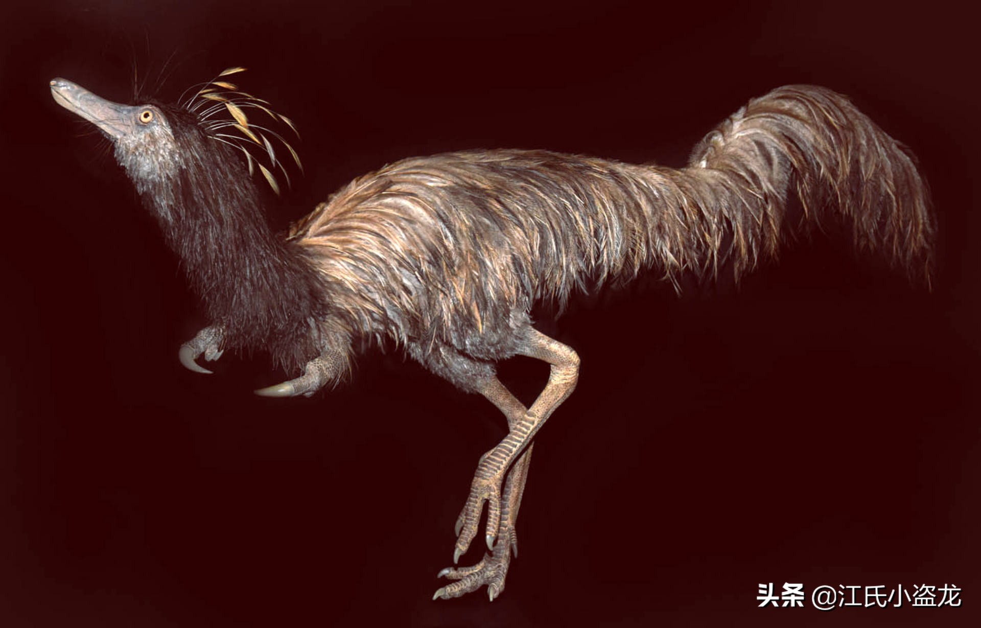 古生物生物学家,古生物科学家