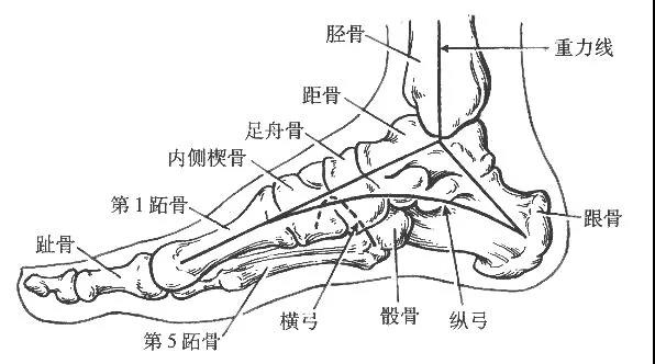 有效预防拇指外翻和扁平足,为了预防扁平足我们要穿什么鞋