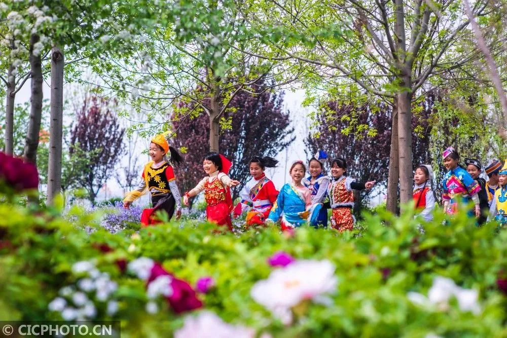 我为群众办实事怎样加强舆论宣传,我为群众办实事新媒体