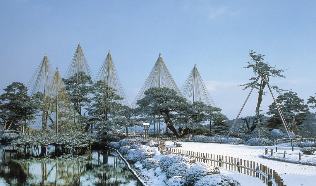 金泽这个名字怎么样,金泽是属于上海还是属于江苏