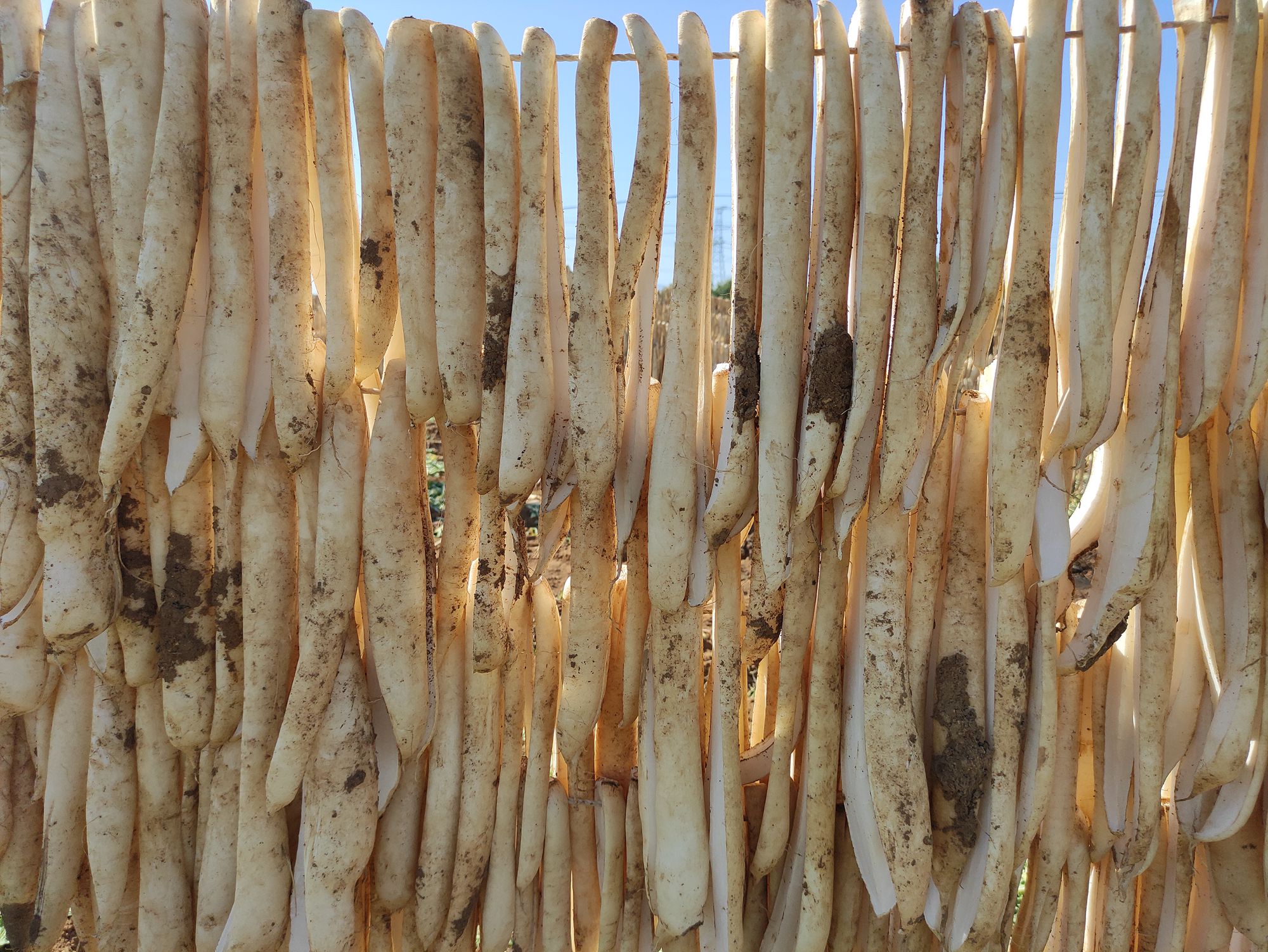 欣赏年画、邂逅大海、闲逛宜家，将生活过成诗与远方