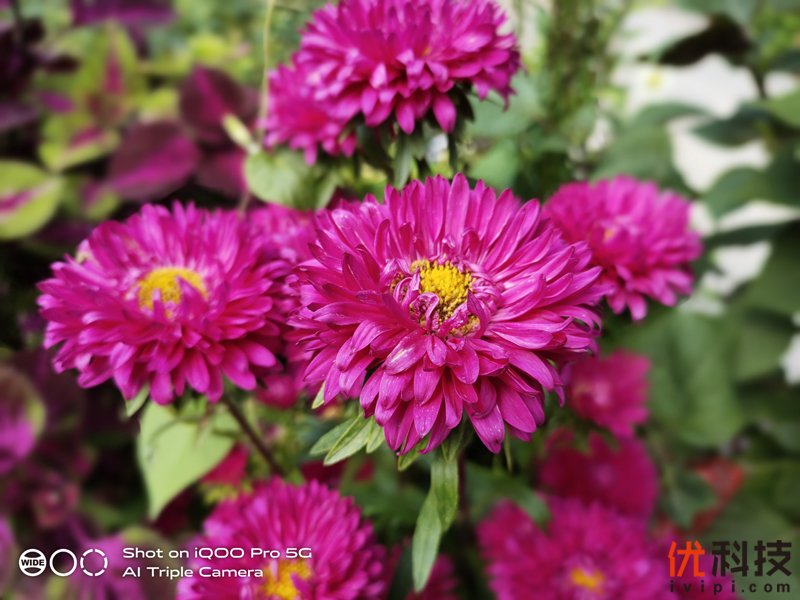 5g时代来临iqoopro5g优势很明显,iqoopro一代5g和4g有什么区别