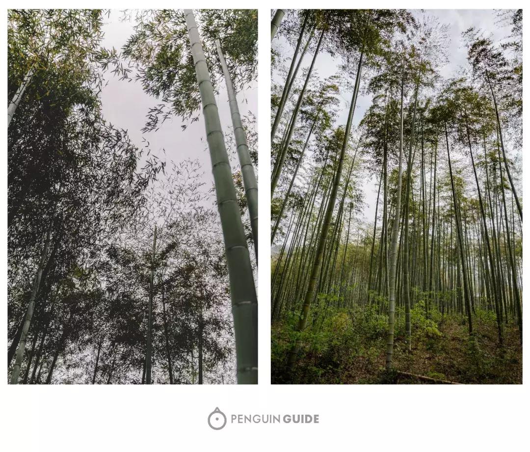 湖州:一座太湖南边的宝藏小城,春笋湖鲜河鱼,嘴巴好忙