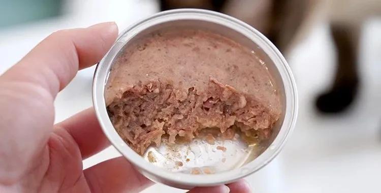 怎么区别猫咪主食罐头和零食罐头,全价猫罐头和主食猫罐头的区别