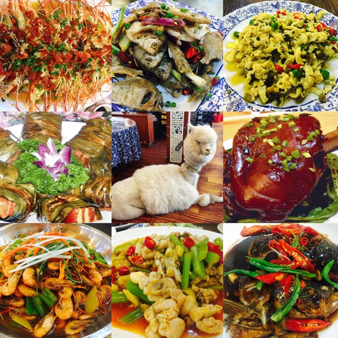 西塘旅游住宿攻略超详细,西塘吃住玩农家乐