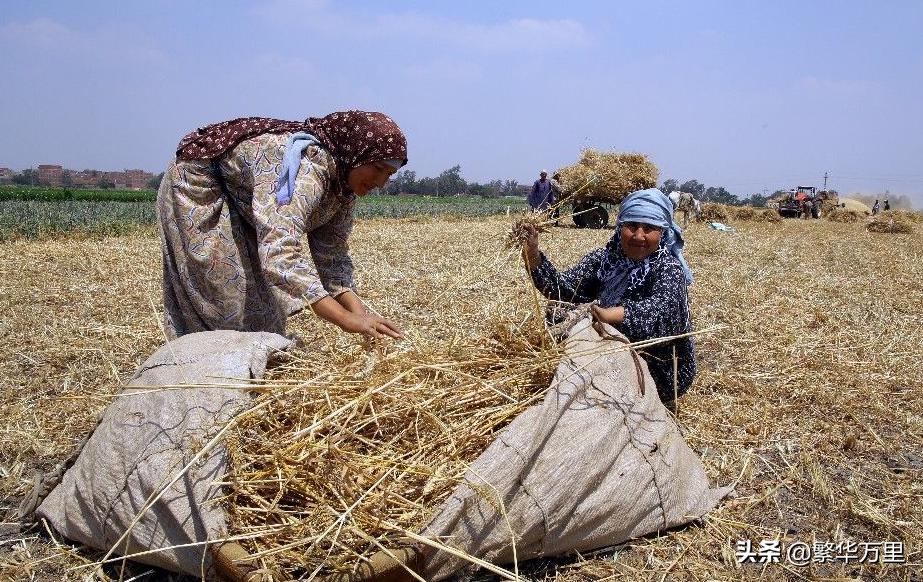 埃及1.01亿人，GDP排名非洲第二，普通人一月收入多少钱？