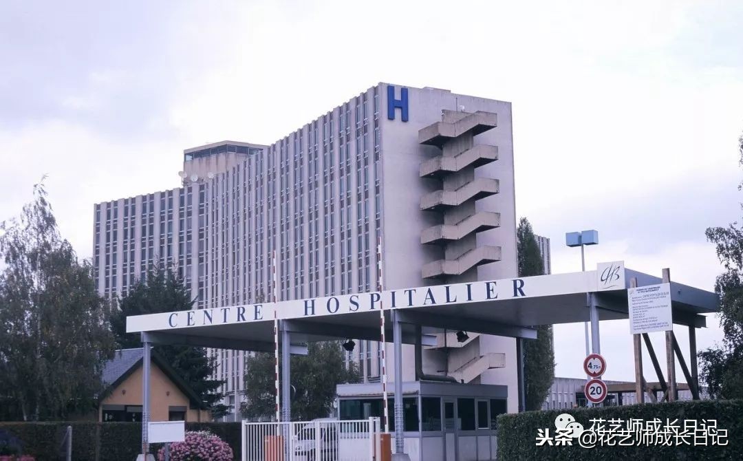 新手花店选址哪里最好,花店选店铺位置怎么选最佳