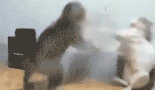 精通英语怎么说短语,精通怎么用英语说