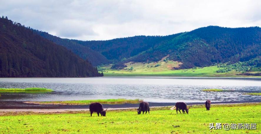 云南十大景点排名大理,云南十大景点门票价格