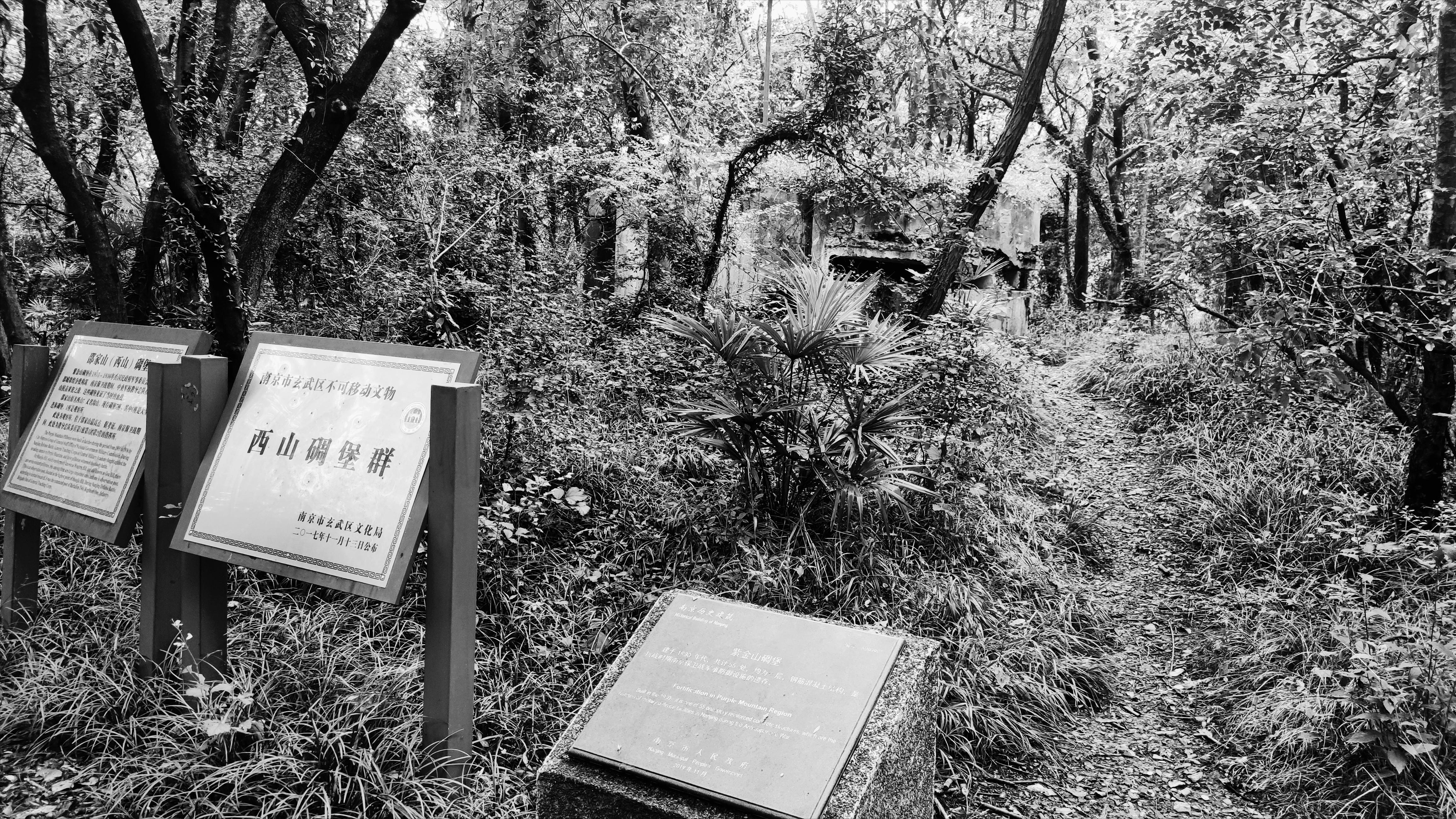 84年前紫金山那场惨烈的保卫战