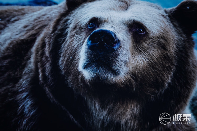 创维a50和q71哪个好,创维q71-8k电视