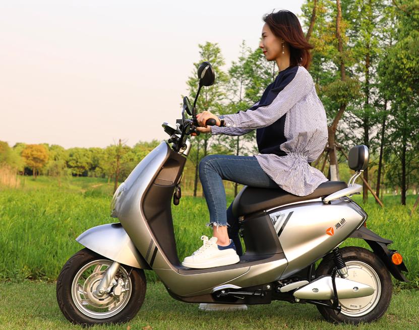 爱玛雅迪新日台铃哪个性价比高,雅迪和爱玛和新日电动车哪个好