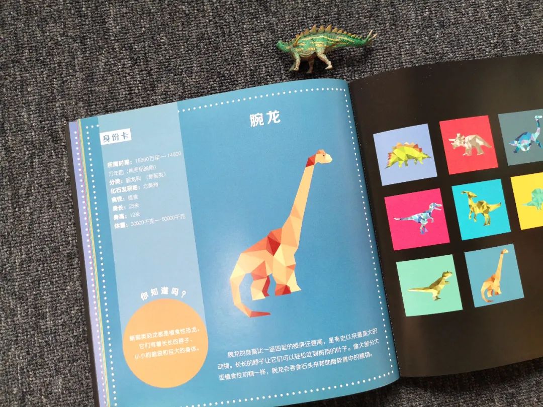 适合孩子看的恐龙科普书,适合5岁孩子看的恐龙科普书