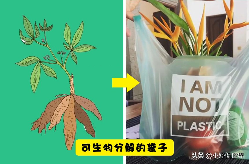 拯救地球环保,能拯救地球的小发明