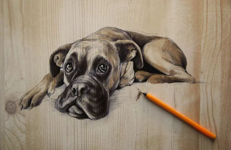 3d超写实彩铅画,超写实彩铅手绘细腻的让人咋舌