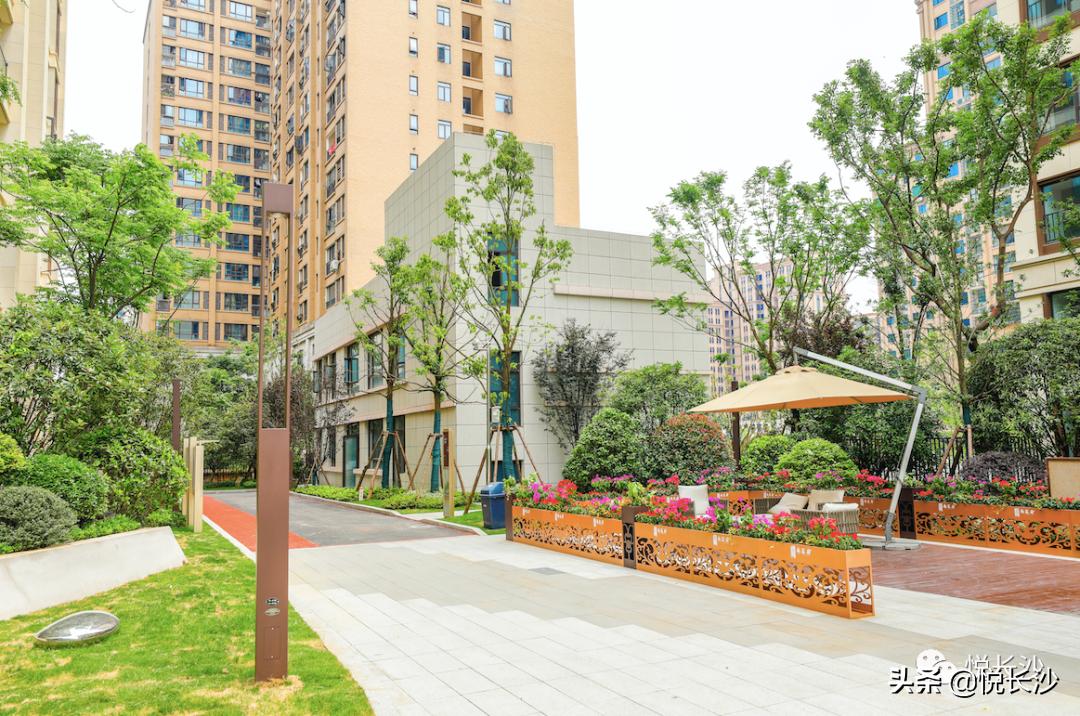 同价位，选精装现房or毛坯期房？还有德思勤商圈加持，近青园小学