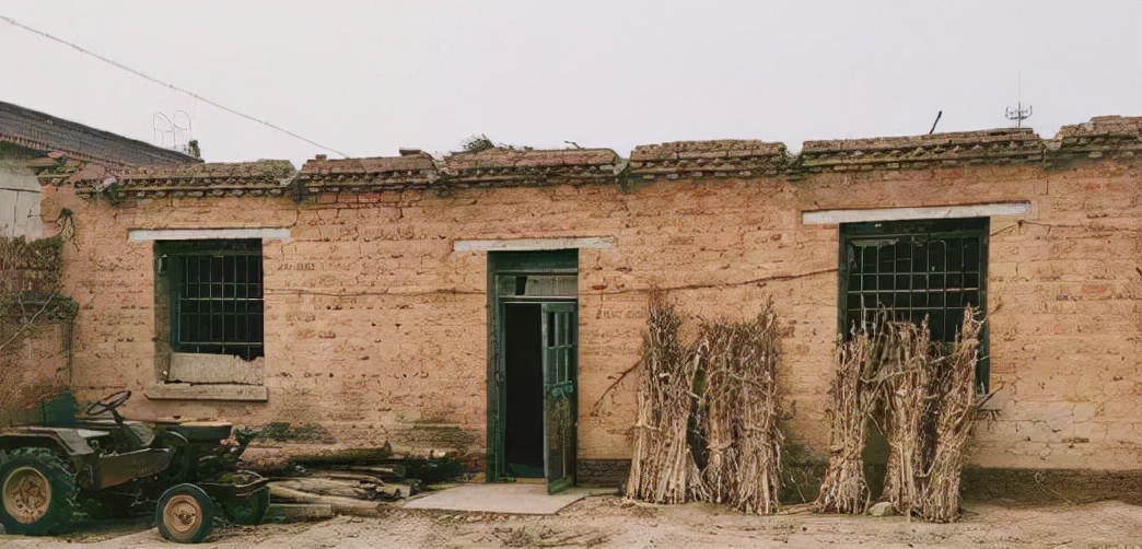 九岁男孩带瘫痪父亲去摘辣椒,少年靠摘辣椒养活瘫痪爸爸