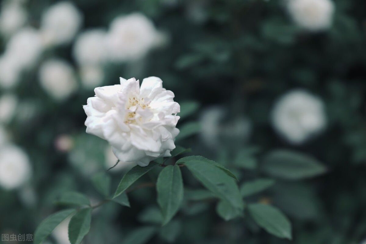 购买货车遭到欺骗怎么办,货车货源被骗怎么投诉