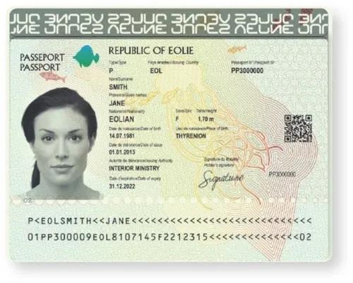 中国新版电子护照,中国新电子护照