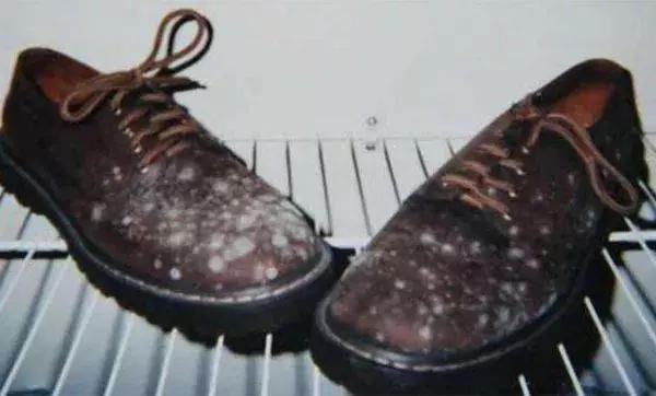 黑皮鞋刮痕怎么去除小妙招,皮鞋霉点怎么去除