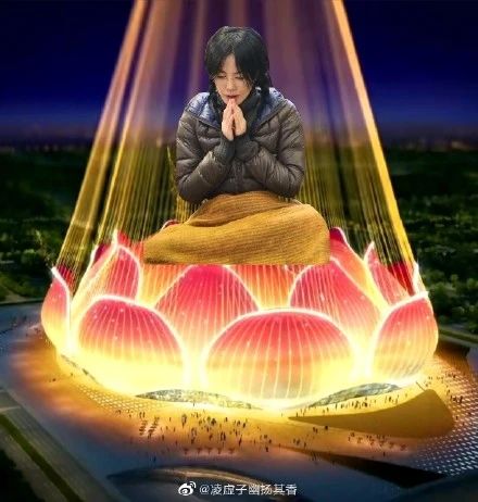 许家印120亿打造莲花形足球场,许家印恒大足球专业足球场