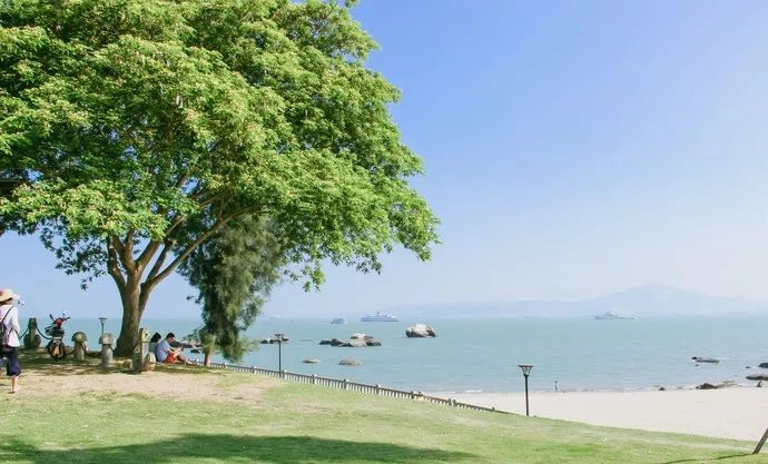 这个夏天一定要去趟厦门,夏天去厦门值得去吗