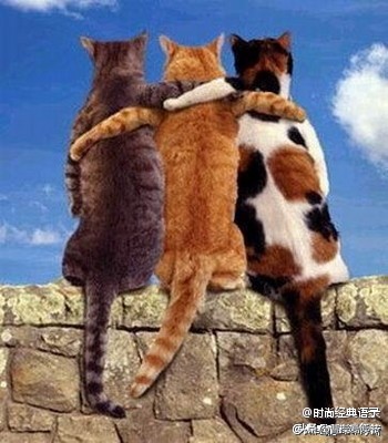 如何正确建立人脉圈子,如何开拓人脉建立自己的圈子