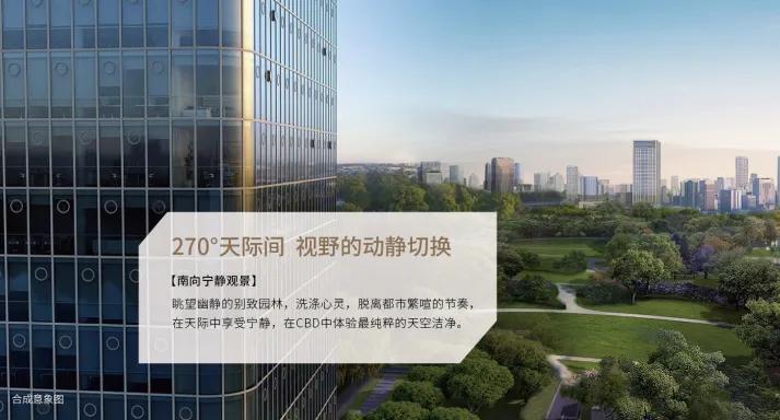 怎么形容万博?就是红到出圈