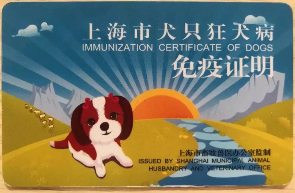 上海市养犬哪里办证,养犬登记证办理流程线下成都
