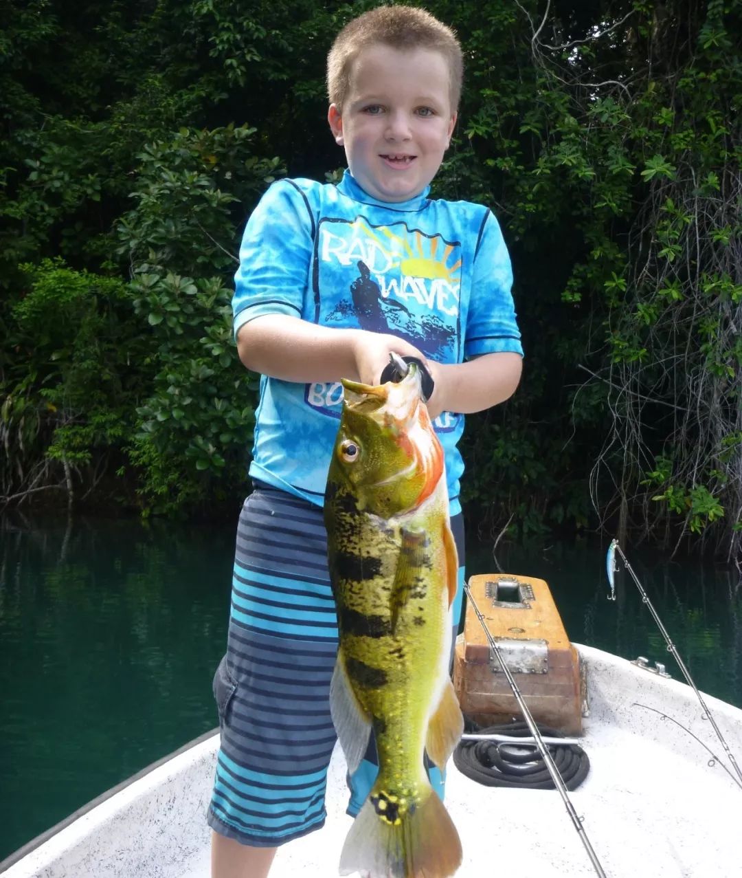 世界十大凶猛淡水鱼类,顶级淡水鱼类