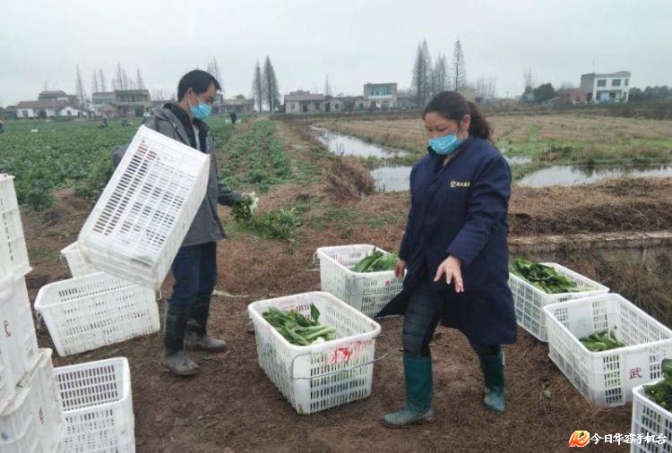 信息化助农行动常德,信息化助农行动农业生产融资难