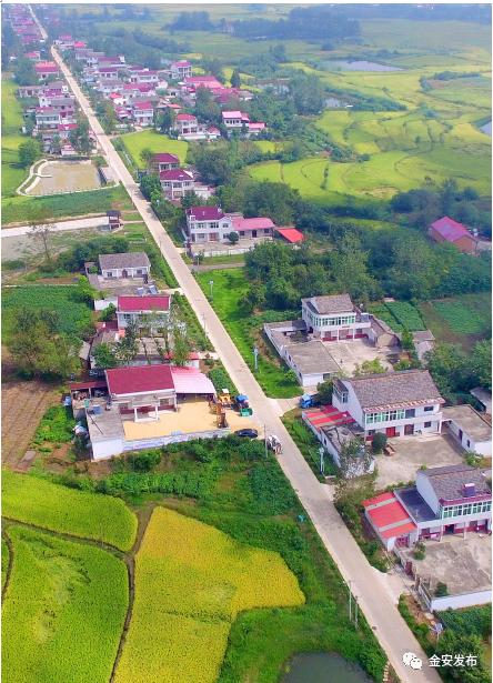 有变化！有成效！中店乡路好景美润万家！