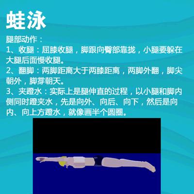 游泳初学者怎样出发,夏天初学游泳视频