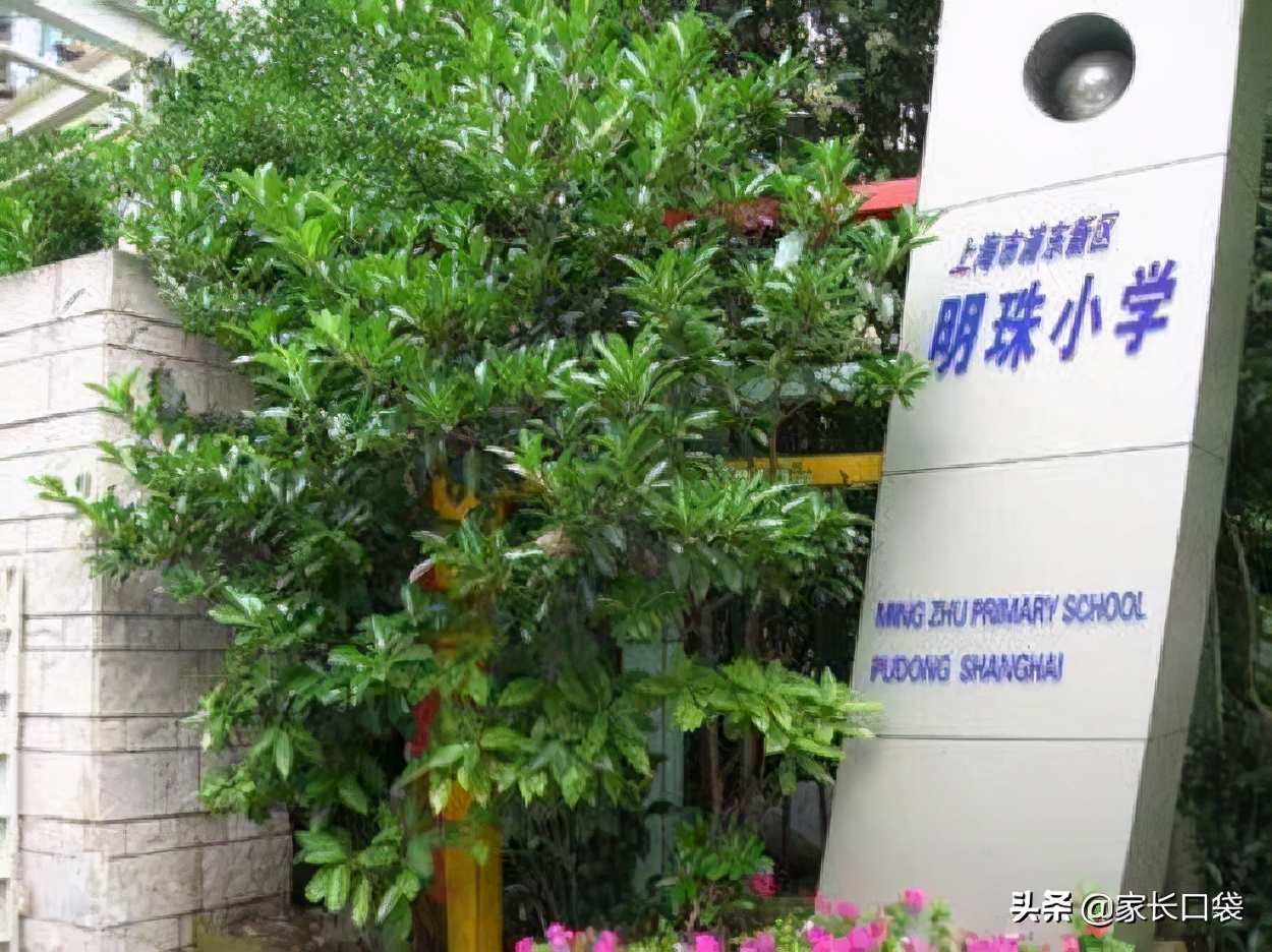 错过了摇号又想上私立小学,上海民办小学摇号未中怎么办