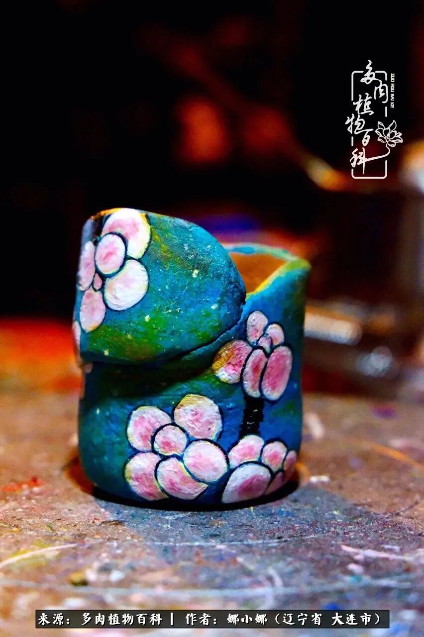 你是盆我是花，你护我周全，我为你绽放