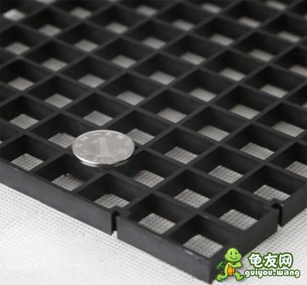 可以干养的龟有什么,龟如何防病