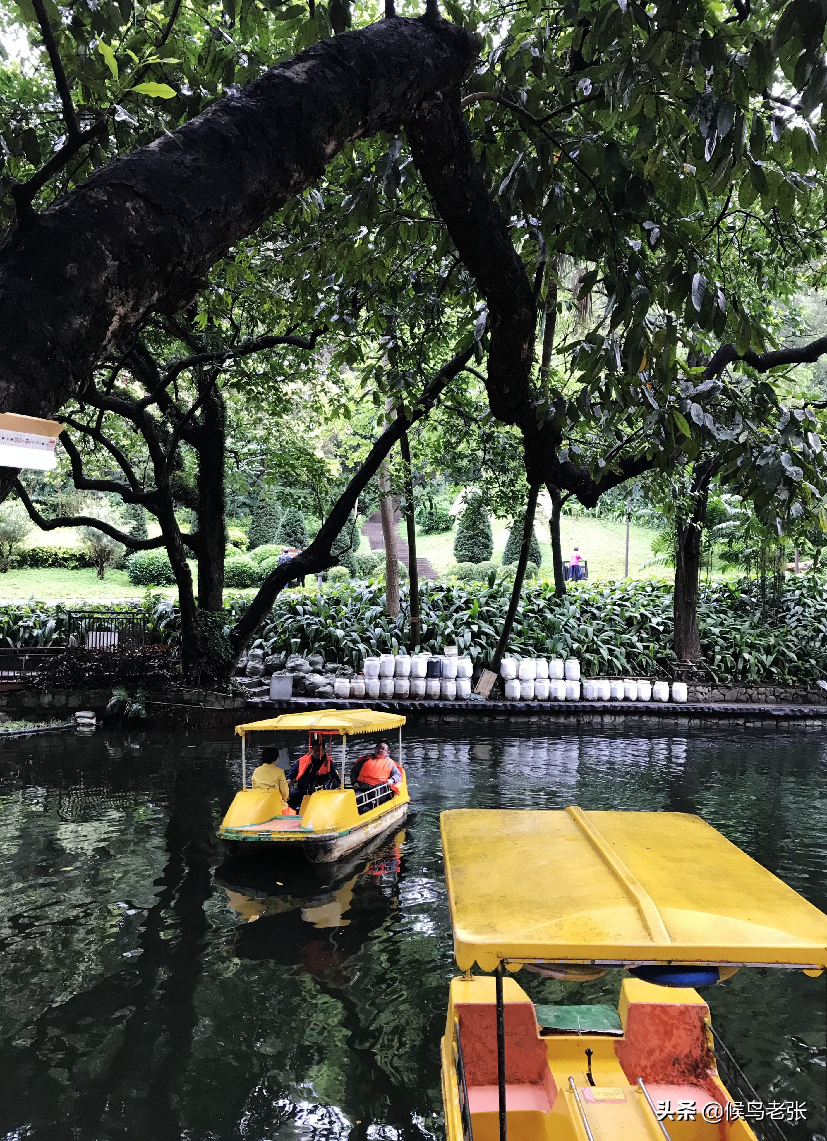 广州塔高耸入云,广州塔小蛮腰塔尖照片